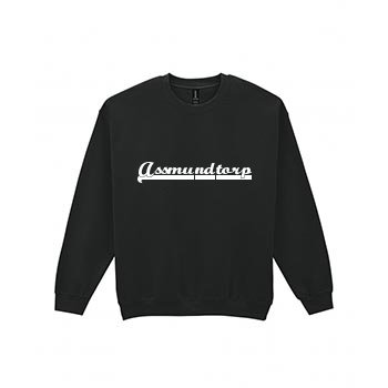 Baseball sweatshirt i Assmundtorp