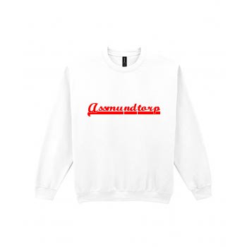 Baseball sweatshirt i Assmundtorp