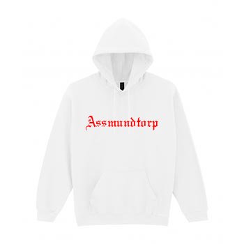 Compton hoodie i Assmundtorp