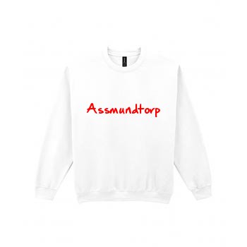 Handwritten sweatshirt i Assmundtorp