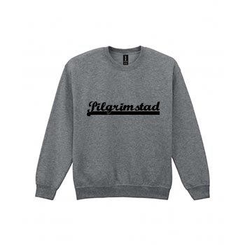 Baseball sweatshirt i Pilgrimstad